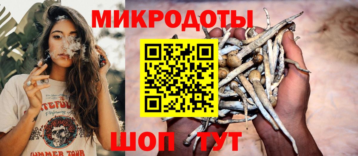 Галлюциногенные грибы прущие грибы Бахчисарай